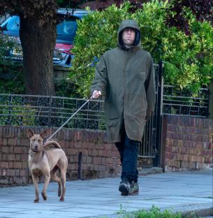 Liam Gallagher walking his dog.