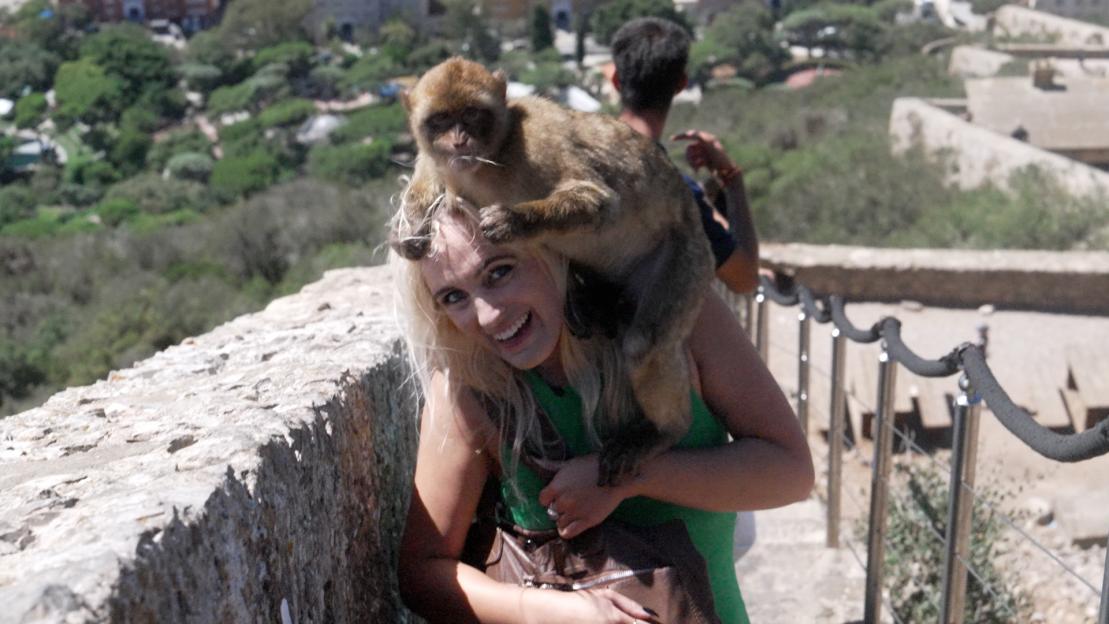 Monkey on a woman's head.