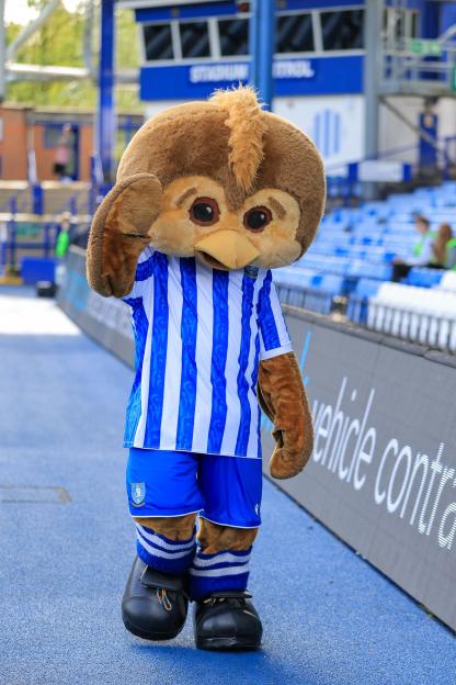 Sheffield Wednesday MASCOT releases statement after wearing protest scarf against hated owner Dejphon Chansiri