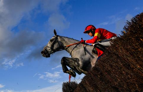 Horse names Brit punters shun – and the reason why – revealed ahead of Grand National