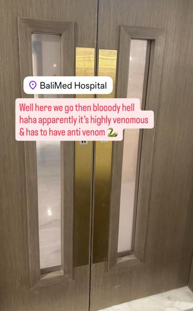 A hospital door with a text overlay indicating a "Love Island" star was rushed to BaliMed Hospital for a highly venomous snake bite requiring antivenom.