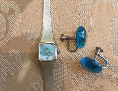 Broken watch and earrings; $100 usage fee.