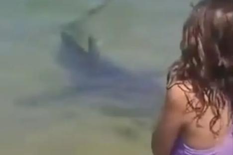 Terrifying footage shows shark swimming around KIDS before deadly attack in Israel as victim screamed ‘it’s biting me’