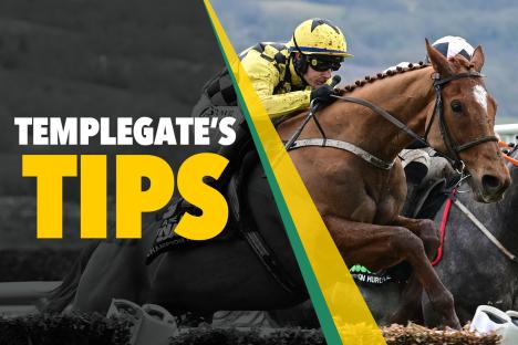 Horse racing tips: ‘He’ll relish the ground’ – Templegate’s 10-3 NAP on a big day at Plumpton