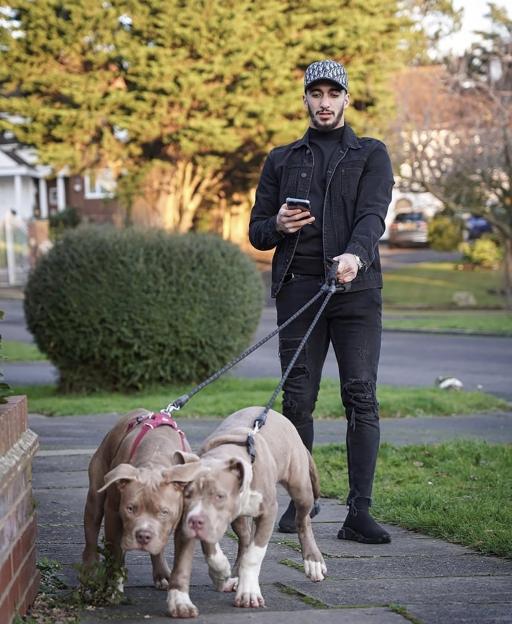 Ex-West Ham Star Saïd Benrahma to Stand Trial After XL Bully and American Bulldog Allegedly Attack Man