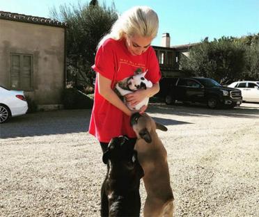 Five People Have Been Arrested In The Kidnapping Of Lady Gaga’s Dogs And The Attempted Murder Of Her Dog Walker Ryan Fischer