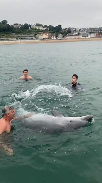 A dolphin swimming with a family, interacting with them in the water.