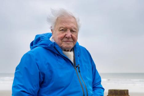 Inside David Attenborough’s incredible career as he turns 99 – from deadly jungle brush to animals he fears will die out