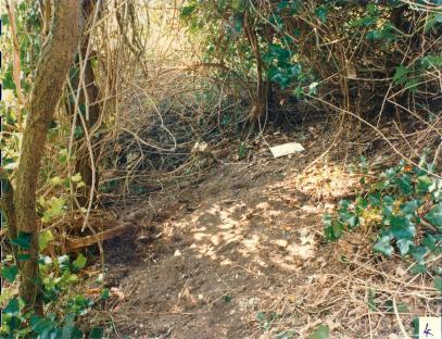 Photo of the woodland den where the bodies of Karen Hadaway and Nicola Fellows were found.