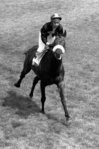 Black and white photo of jockey Geoff Lewis riding Mill Reef, winner of the 1971 Epsom Derby and Eclipse Stakes.