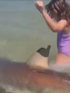 Girl in the water moments before a shark attack.