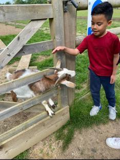 Story from Jam Press (Ditched London Countryside) Pictured: Ollie at Quex park in Burchington on sea. VIDEO: ‘I swapped London for quaint countryside village â I save hundreds a month but there’s one catch' A mum who ditched London for a quiet life in the countryside says she’s never felt better â and the move has saved her family £500 a month. Annabelle Giselle left Bexleyheath with husband Stuart, 34, and their two kids Ollie, seven, and Tate, one, after growing tired of the city’s high costs and rising crime. The family swapped their £1,200-a-month two-bed flat for a house in the Kent countryside â and now pay just £1,050 with a garden and driveway thrown in. But it’s not just the family’s bank balance that’s benefited. “In London, life was fast-paced and often overwhelming â constant noise, long commutes and overall a lot of stress,”;; Annabelle told What's The Jam. “My mental health has improved since living a more slower-paced life, I feel connected more with nature and I have more time for myself and my family. “It’s so nice to have a garden and really get into gardening as a way to improve my mental health. “I’ve noticed that my eldest child seems much happier being able to relax in the garden in summer after school.”;; Annabelle, who now works in safeguarding children, said she felt London was becoming increasingly unsafe. The 30-year-old said: “It felt draining to constantly feel unsafe and worrying about my children growing up in an area where they didn’t feel safe too. “The cost of living definitely was high living in London â the constant financial pressure can be draining. The constant traffic and lack of nature and trees.”;; The turning point came when she was offered a job safeguarding children in Kent that allowed her to prioritise her career and her loved ones. In May 2023, the family made the move to a small village in Canterbury. Far from missing the city buzz, Annabelle says rural life has exceeded all expectations. However, she says there has been one downside â loneliness. She added: “Honestly I was so excited to be experiencing somewhere completely new. “We moved in summer so as a family we started to explore farmers markets, long countryside walks and local community activities such as local summer fairs. “I expected rural life to be peaceful, slower-paced, affordable and closely tied to nature. I imagined quiet mornings, strong community ties and a sense of simplicity compared to London. “All of this was true, although I felt that the extra cost of fuel and getting the train into London has been more expensive to do on a regular basis. “There were also moments of feeling isolated and lonely. “But the sense of community is definitely there, and everyone here seems much happier â it feels safer living here too. “My weekends are full of being in nature and shopping in my local farm shops and creating delicious healthy meals for my family. “Being able to walk through fields instead of crowded streets makes a huge difference in my state of mind.”;; Annabelle admits the cost of fuel and train fares to London can add up, but says the peace, space and community more than make up for it. Now she’s embracing a slower, more mindful lifestyle â swapping acrylic nails and fast fashion for baking, fresh food and DIY crafts. She said: “I have more time to do things that I love such as baking and cooking for my family, having access to local fresh produce to cook with or finding new recipes from my new cookbooks, are all things that make me appreciate living in the countryside. “I feel like my priorities have changed for a few things that used to make me happy, like getting my acrylic nails done or buying new clothes every week. “My routine for my children is teaching them more about nature and prioritising fresh healthy food. “When living in the countryside it’s easy to isolate yourself and become a homebody, so I try to prioritise my mental health and make sure that I go for more walks and have social interactions.”;; Annabelle now has advice for anyone else looking to make the same move. She said: “Do your research and stay overnight in the town or village that you want to move to. “Explore the area and transport. “Moving from a familiar area will always have its challenges but be open minded and don’t have too many expectations. “It hasn’t always been easy, but it’s been one of the best decisions I’ve made.”;; ENDS EDITOR’S NOTE: Video Usage Licence:(EXCLUSIVE) We have obtained an exclusive licence from the copyright holder. A copy of the licence is available on request. Video Restrictions: None.