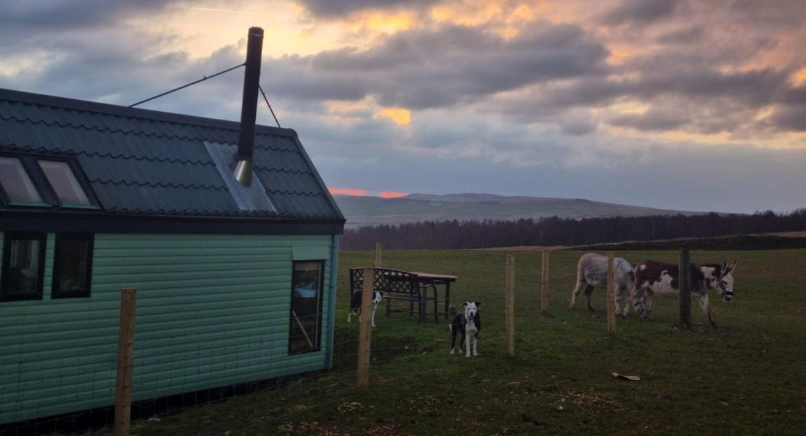 Static caravan at sunset with dogs and donkeys.