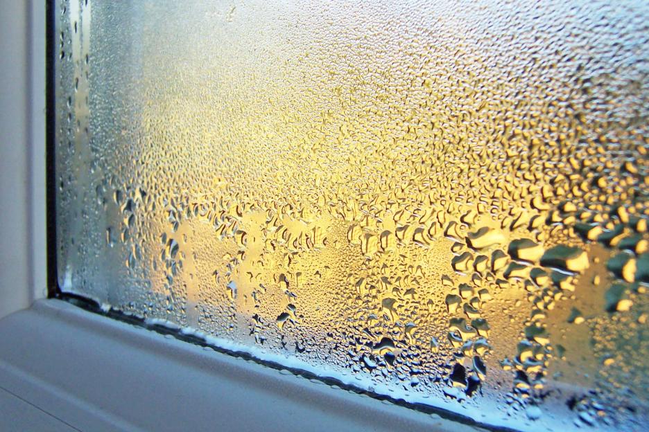 The £4 curtain gadget that works just like a dehumidifier and means you won’t wake up to wet windows this autumn