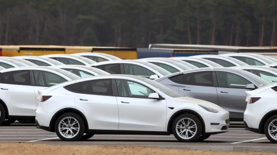 Mystery as first-ever ‘affordable’ Tesla delayed ‘at least several months’ again – as sales in EV firm plunge