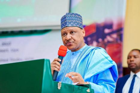 Nigerian govt moves to criminalise usurpers of govt assets at night