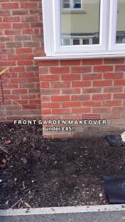 Front garden makeover under £45.
