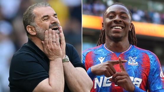 Tottenham 0 Crystal Palace 2: Spurs drop to 17th in Premier League table and suffer yet more injury woes