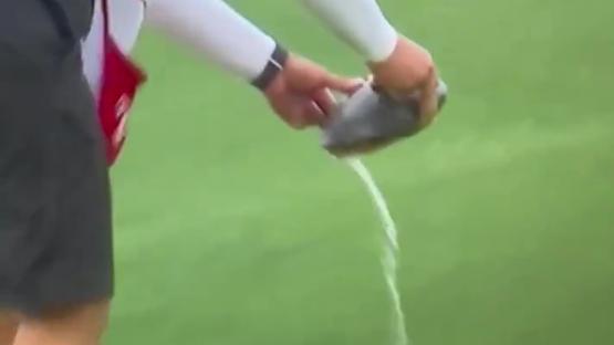 Moment turtle PEES all over golf course as caddie carries it off green in bizarre scenes