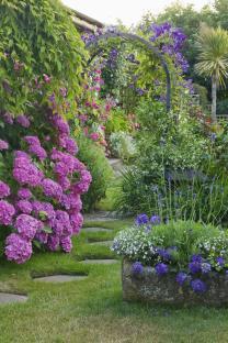 Stone path through garden arch covered in purple clematis and pink hydrangeas.