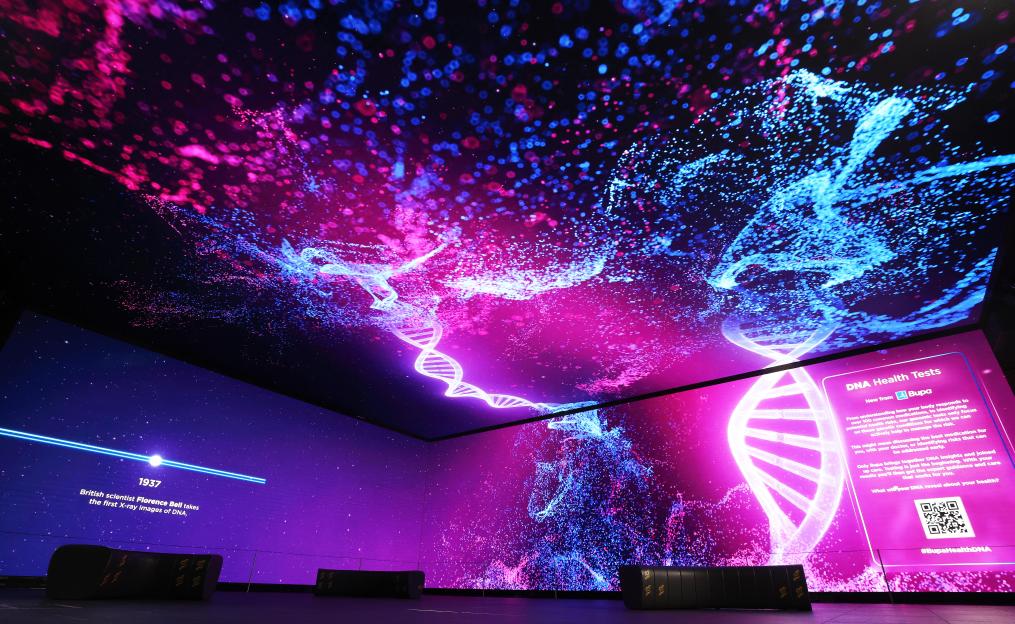 Inside the Bupa: ‘Inside your insides’ installation, with bright pink and blue DNA visuals on the walls and ceiling, and text about DNA health tests and Florence Bell.