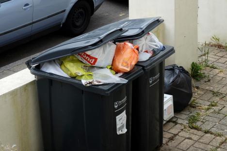 Overflowing wheelie bins.