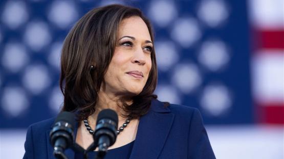 ‘Your voice louder than unelected billionaires’ – Kamala Harris backs anti-Trump, Musk’s protests