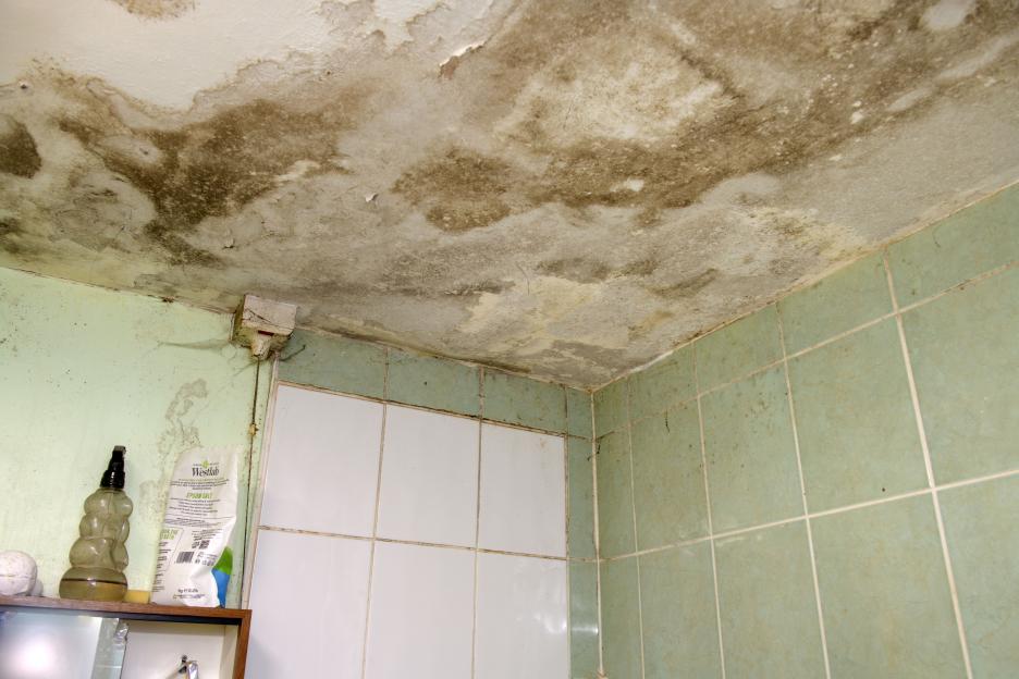 Mold and water damage on a bathroom ceiling.