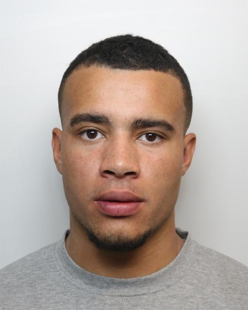 Harrison Sullivan appeal