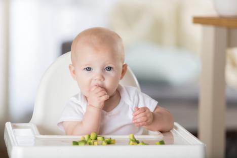 Baby girl in high chair eating avocado.