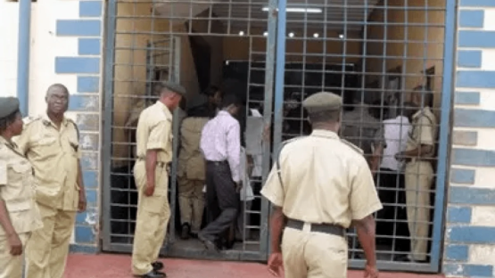 Kaduna prisons fail to transport detainees to court over lack of logistics – CSO