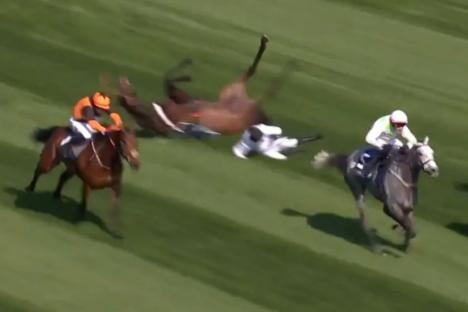Constitution Hill falls AGAIN in repeat of Cheltenham horror as Lossiemouth lands 101-1 four-fold for Willie Mullins