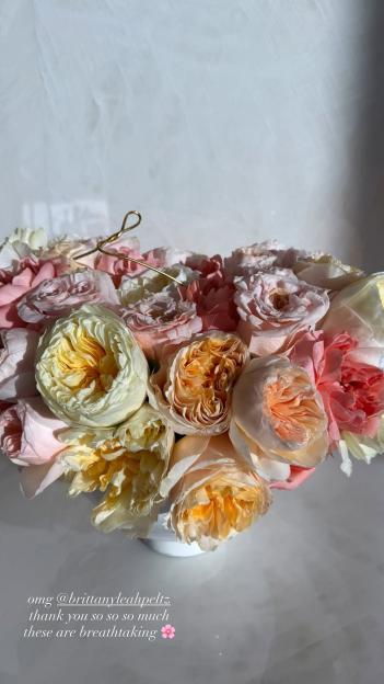 NINTCHDBPICT001036293021