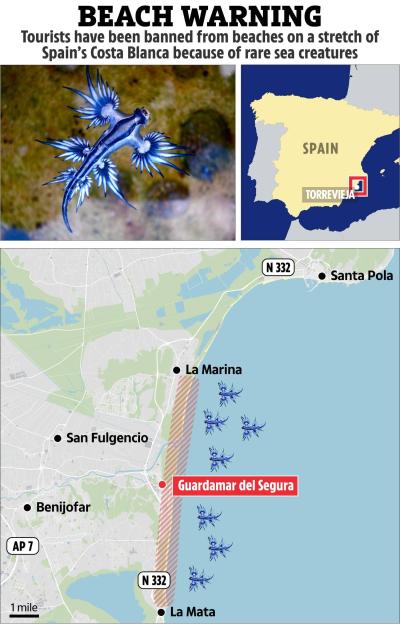 Map showing Spain's Costa Blanca beaches closed due to rare sea creatures.