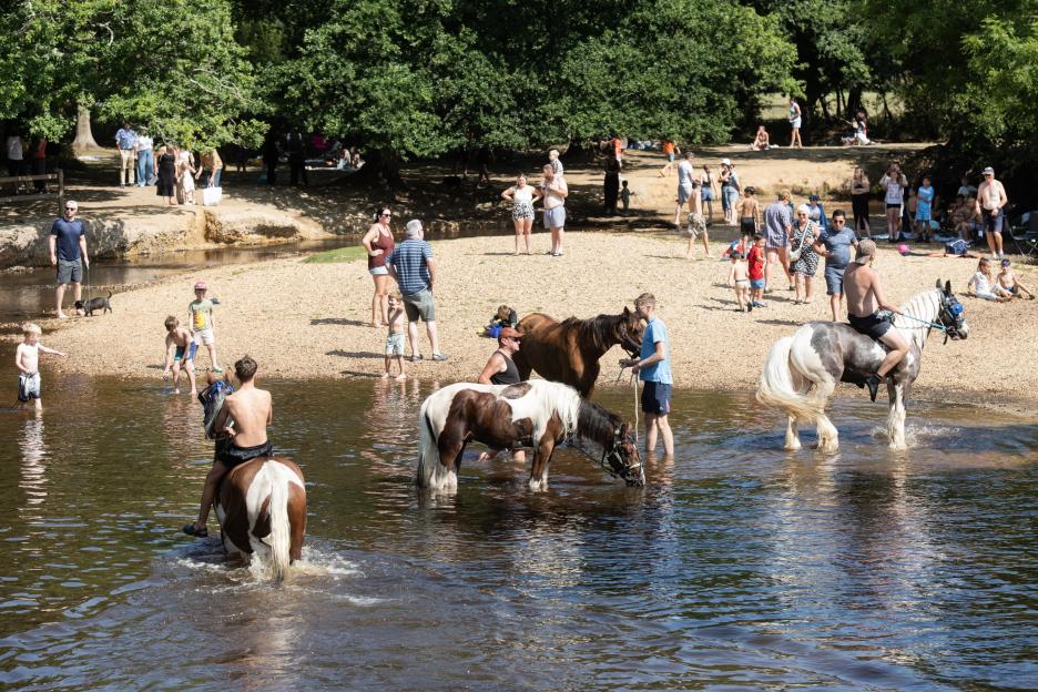 Horses and people wading in a river.