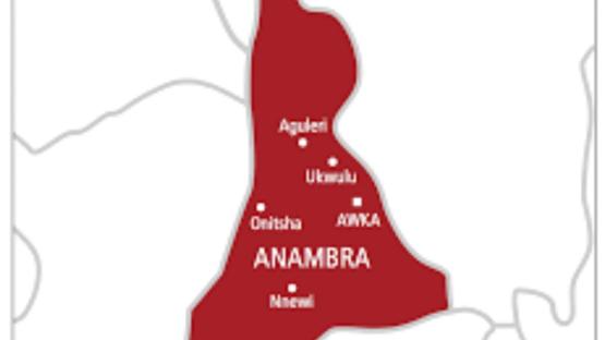 Anambra: Security operatives arrest two suspected kidnappers, recover guns, live cartridges