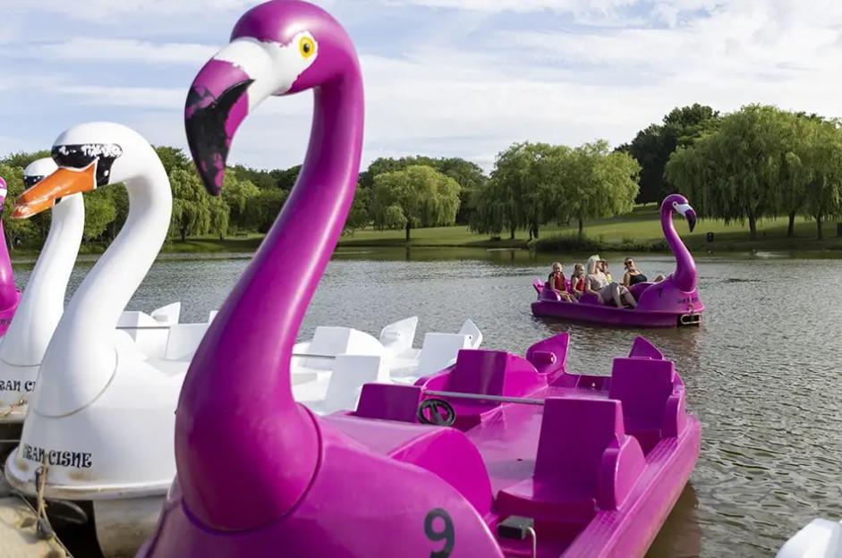 People on a flamingo-shaped paddle boat on a lake.