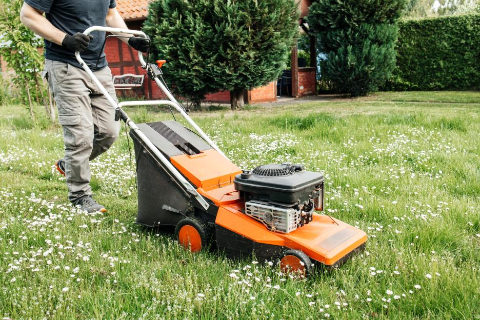 Lawns will grow back lusher than ever next summer if you do a 5-minute job this October