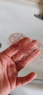 Hand holding a clump of light brown hair.