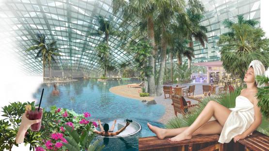 Collage of a tropical resort with a pool, lounge areas, and a woman relaxing.