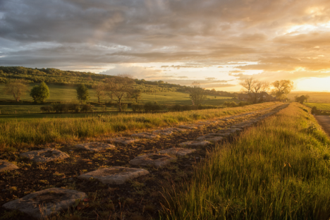 Stone road in grassy field at sunset.