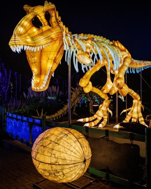 Illuminated dinosaur lantern and orb at a light festival.