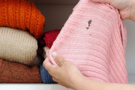 The quick cleaning task to do NOW to stop moths ‘invading your wardrobe’ and destroying your clothes this summer