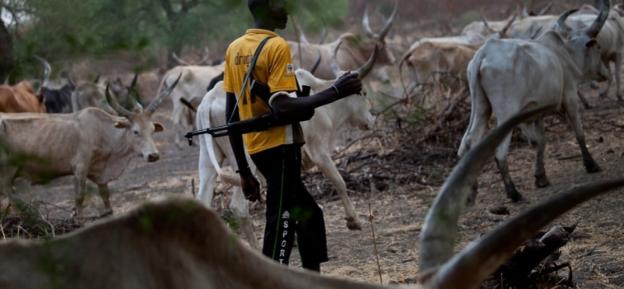 Benue: Outrage as herdsman murders man hours after child died at birth