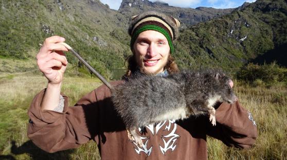 Massive ‘giant woolly RAT’ triple the size of regular rodent found as enormous creatures dubbed ‘largest in the world’