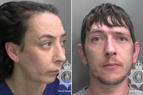 Toddler mauled by Japanese fighting dog which couple bought online for £150