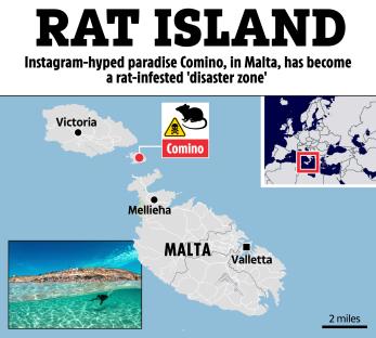 Map of Malta showing Comino Island, labeled "Rat Island," due to rat infestation.