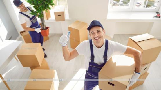 Common Challenges in Office Relocation and How Movers Help Solve Them 