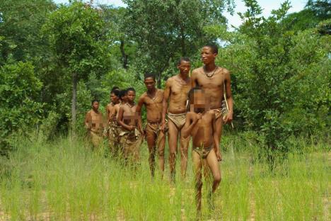 A group of people walking through tall grass.