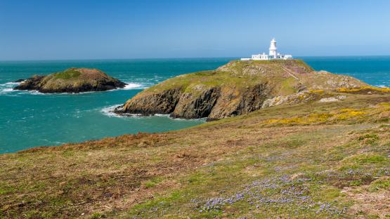 EX4F3K Strumble Head and the 1908 Lighthouse on the Pembrokeshire coast of Wales UK Europe